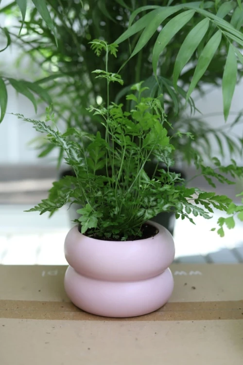 Doniczka ceramiczna różowa obła  designerska S