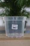 Doniczka przezroczysta produkcyjna 15 cm