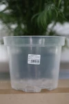 Doniczka przezroczysta produkcyjna 19 cm