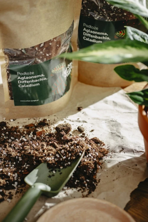 Podłoże Urban Jungle 3 l to idealna ziemia dla roślin doniczkowych takich jak Aglaonema, Diffenbachia, Caladium i Bigos, wspierająca ich zdrowy wzrost.