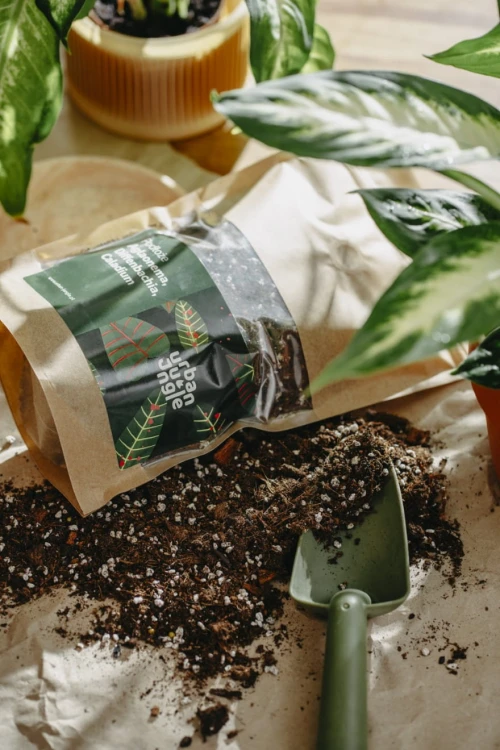 Specjalistyczne podłoże Urban Jungle 3 l do roślin doniczkowych, takich jak Aglaonema, Diffenbachia, Caladium i Bigos, gwarantuje zdrowy wzrost i piękne liście.