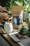 Podłoże Uniwersalne Do Roślin Domowych, Bigos, Ziemia Urban Jungle 3 l 