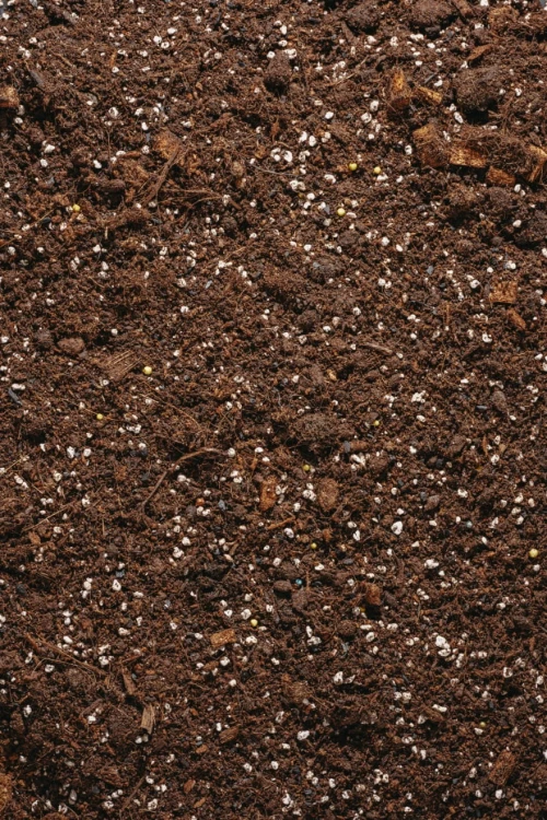Ziemia Urban Jungle Bigos 5 l to podłoże do roślin doniczkowych, stworzone specjalnie dla strelicji, idealne do pielęgnacji i przesadzania.