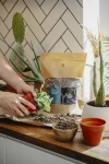 Podłoże Do Sukulentów i Kaktusów, Bigos, Ziemia Urban Jungle 3 l