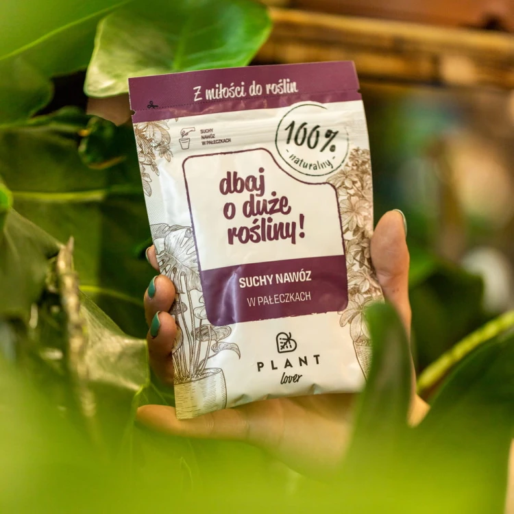Plant Lover dbaj o duże rośliny