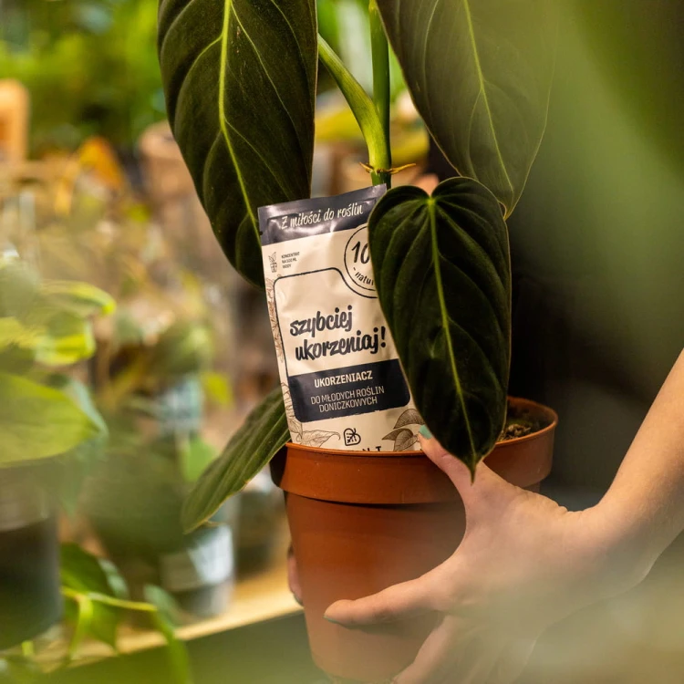 Plant Lover szybciej ukorzeniaj ukorzeniacz do młodych roślin doniczkowych