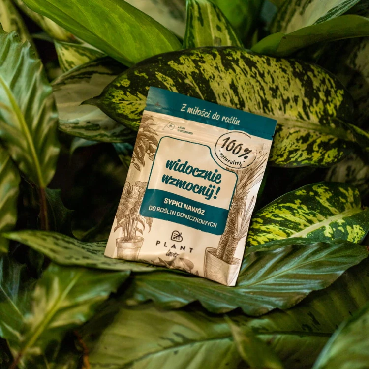 Plant Lover Widocznie Wzmocnij 40 g to naturalny nawóz w formie sypkiej, który odżywia rośliny doniczkowe i wspiera ich rozwój.