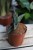 Sansevieria 'Samurai' w aranżacji wnętrza – stylowa roślina doniczkowa, która wprowadza do przestrzeni świeżość, naturalny akcent i nowoczesny charakter.