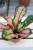 Codiaeum Wilma (Kroton)