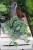 Scindapsus pictus Argyraeus (Scindapsus pstry) XL (1).JPG