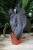 Anthurium ‘Queen of Hearts’ – efektowna roślina doniczkowa o dużych, sercowatych liściach z błyszczącą powierzchnią. Idealna do eleganckich wnętrz.