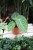 Anthurium magnificum w aranżacji wnętrza – tropikalna roślina doniczkowa, która wprowadza do przestrzeni elegancję, głębię i egzotyczny klimat.
