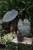 Alocasia sarawakensis ‘Yucatan Princess’ jako egzotyczny akcent wnętrza – roślina doniczkowa wprowadzająca do przestrzeni głębię, elegancję i tropikalny klimat.