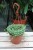 senecio rowleyanus l  (3).JPG