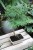 Modrzewnik chiński (Pseudolarix amabilis) Bonsai w kremowej donicy (3).JPG