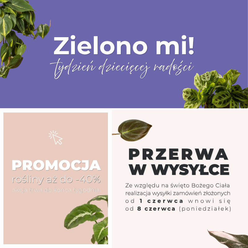 Promocja z okazji Dnia Dziecka!