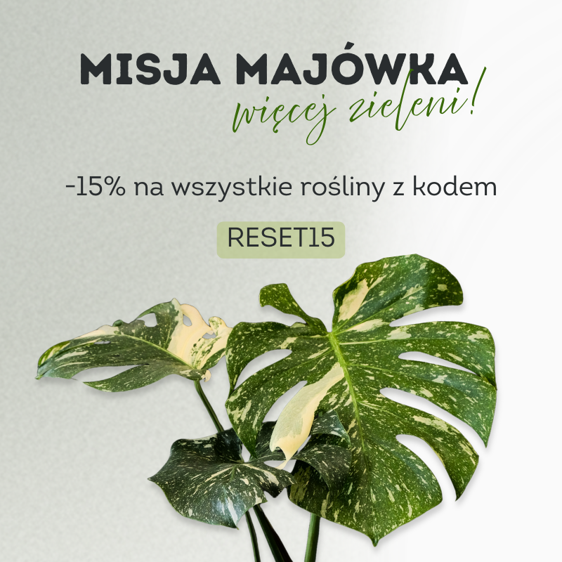 Misja Majówka: więcej zieleni! Użyj kodu RESET15 i uzyskaj -15% na wszystkie rośliny doniczkowe